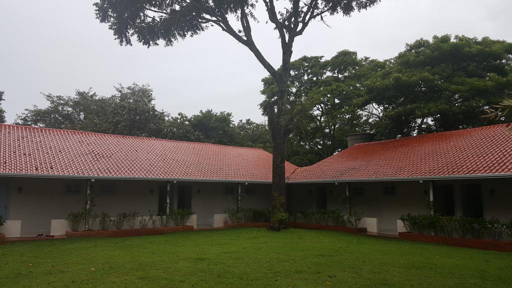 Hotel Bosque Da Neblina Chapada dos Guimarães Exterior foto